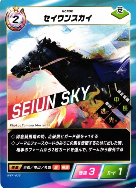 画像1: 【競馬】セイウンスカイ【N】WEF-025 (1)