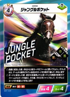 ロルカナ】ポカホンタス - 部族の導き手【R】JA・13・012[12/207・JA