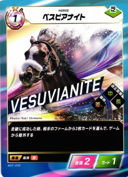 画像1: 【競馬】ベスビアナイト【N】WEF-030 (1)