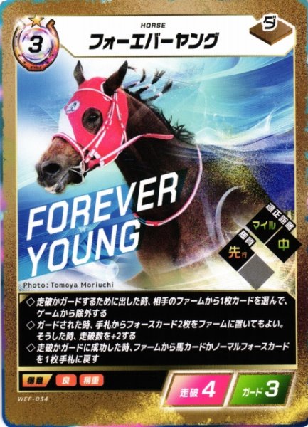 画像1: 【競馬】フォーエバーヤング【N】WEF-034 (1)