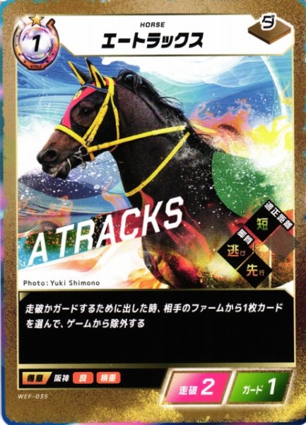画像1: 【競馬】エートラックス【N】WEF-035 (1)