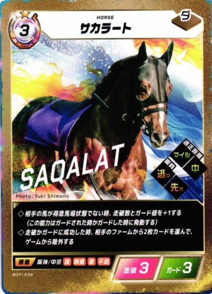 画像1: 【競馬】サカラート【N】WEF-036 (1)