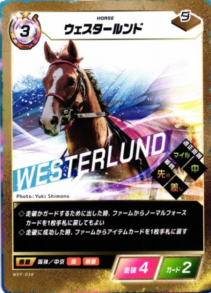 画像1: 【競馬】ウェスタールンド【N】WEF-038 (1)