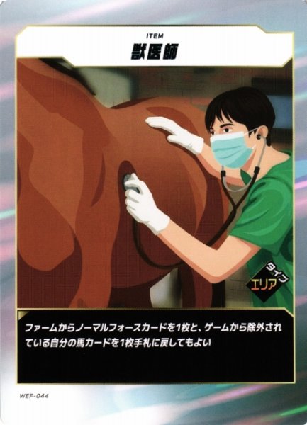 画像1: 【競馬】獣医師【N】WEF-044 (1)