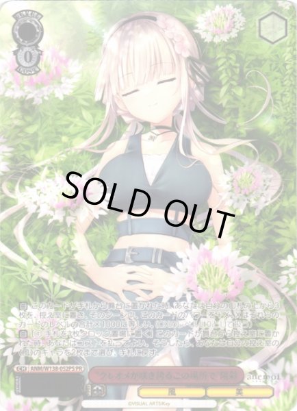 画像1: 【WS】“クレオメが咲き誇るこの場所で”陽彩(箔押し)【PR】ANM/W138-052PS (1)