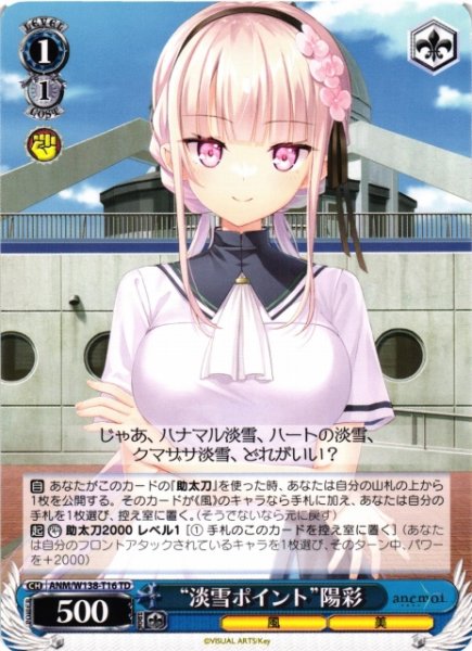 画像1: 【WS】“淡雪ポイント”陽彩【TD】ANM/W138-T16 (1)