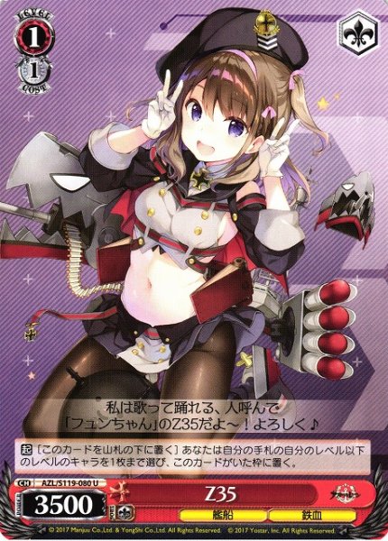 画像1: 【WS】Z35【U】AZL/S119-080 (1)