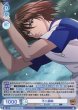 画像1: 【WSB】不二周助(箔押し)【BR】TNPR/01B-043B (1)