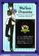 画像1: 【WSB】マレウス・ドラコニア(箔押し)【BR】TWST/01B-003B (1)