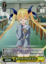カー - C-labo OnlineShop (Page 6)
