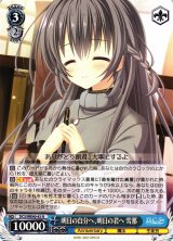 カー - C-labo OnlineShop (Page 12)