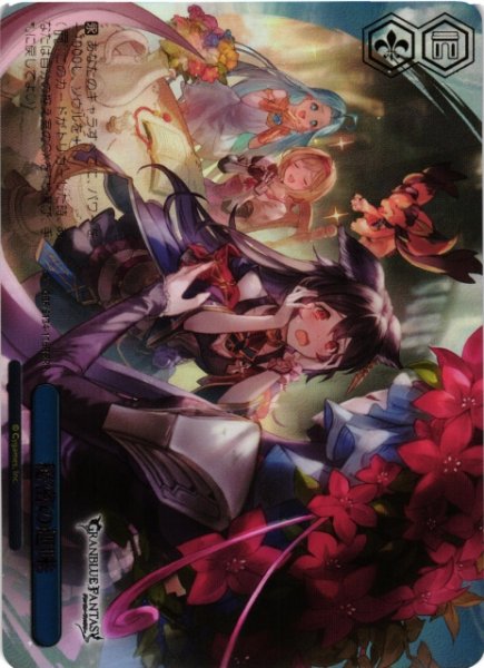 画像1: 【WS】秘密の趣味【RRR】GBF/S134-116R (1)
