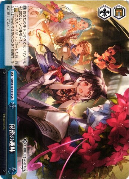 画像1: 【WS】秘密の趣味【CR】GBF/S134-116 (1)