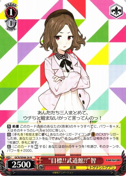 画像1: 【WS】“目標!!武道館!!”智【N】GCR/SE48-28 (1)