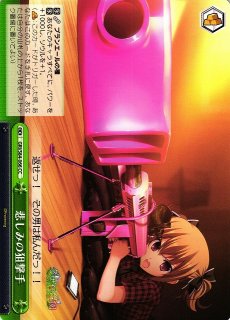 WS】悪魔の妹 フランドール(サイン+箔押し)【SEC】THP/S130-060EX