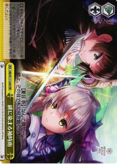 WS】“臨戦態勢”李小狼(サイン)【SP】CCS/W113-026SPヴァイス