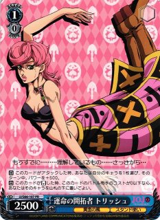 売れ筋がひ新作！ 70726f647563742f77736a6a733636 ヴァイスシュヴァルツ