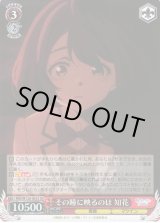 ヴァイスシュヴァルツ：ヴァイスサイド通販ならカードラボ！ (Page 214)