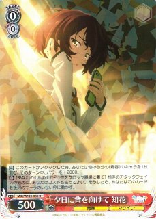 引っ込み思案な女の子 知花 SP 4枚セット 引っ込み思案な女の子 知花 SP 4枚セット WS】引っ込み思案な女の子