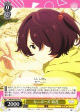 ヴァイスシュヴァルツ：ヴァイスサイド通販ならカードラボ！ (Page 215)