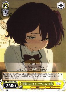 引っ込み思案な女の子 知花 SP 4枚セット WS】引っ込み思案な女の子