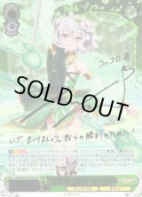 全商品 - C-labo OnlineShop (Page 2569)