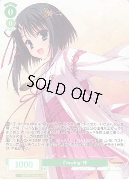 画像1: 【WSR】Growing! 梓【OFR】OS01/R01-029OFR (1)