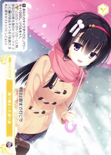 画像1: 【WSR】降り積もった通り道【C】OS01/R01-025 (1)