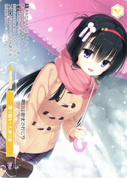 画像1: 【WSR】降り積もった通り道【PR】OS01/R01-P03 (1)