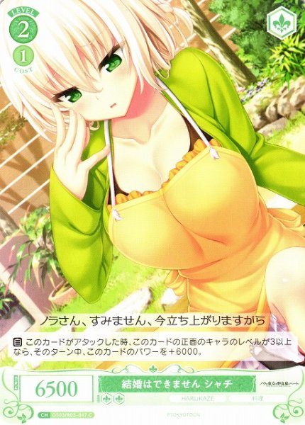 画像1: 【WSR】結婚はできません シャチ【C】OS03/R03-047 (1)