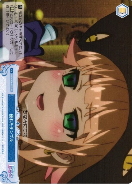 画像1: 【WSR】優れたサンプル【SR】OS04/R04-100S (1)