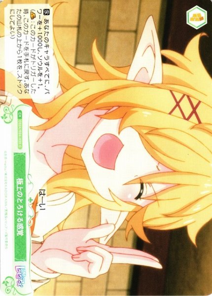 画像1: 【WSR】極上のとろける感覚【C】OS04/R04-050 (1)