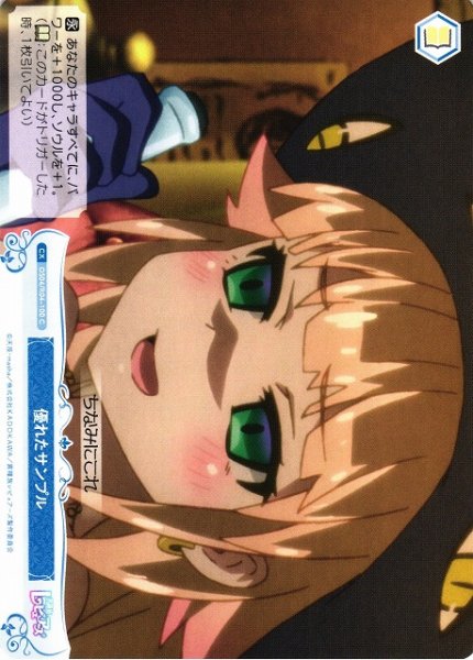 画像1: 【WSR】優れたサンプル【C】OS04/R04-100 (1)