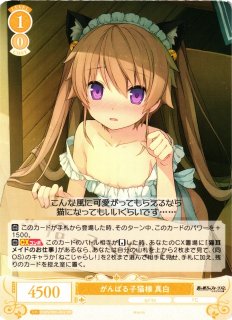 WSR】がんばる子猫様 真白【RR】OS05/R05-002ヴァイスシュヴァルツ