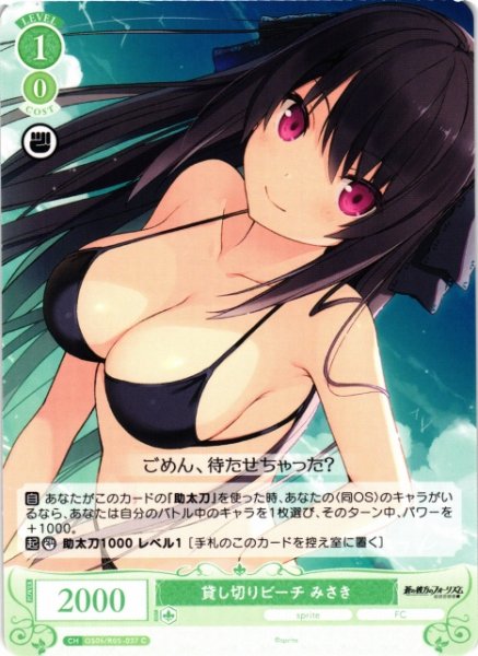 画像1: 【WSR】貸し切りビーチ みさき【C】OS05/R05-037 (1)