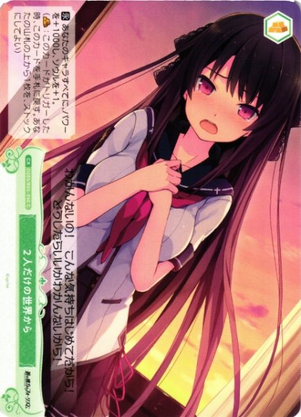 画像1: 【WSR】２人だけの世界から【C】OS05/R05-050 (1)