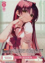 ヴァイスシュヴァルツ ロゼ通販ならカードラボ！ (Page 30)