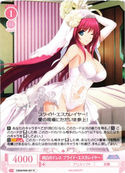 画像1: 【WSR】純白のドレス ブライド・エスカレイヤー【R】OS09/R09-057 (1)