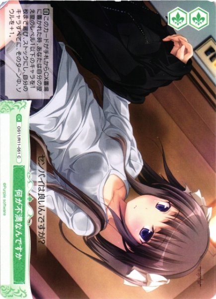 画像1: 【WSR】何が不満なんですか【C】OS11/R11-051 (1)