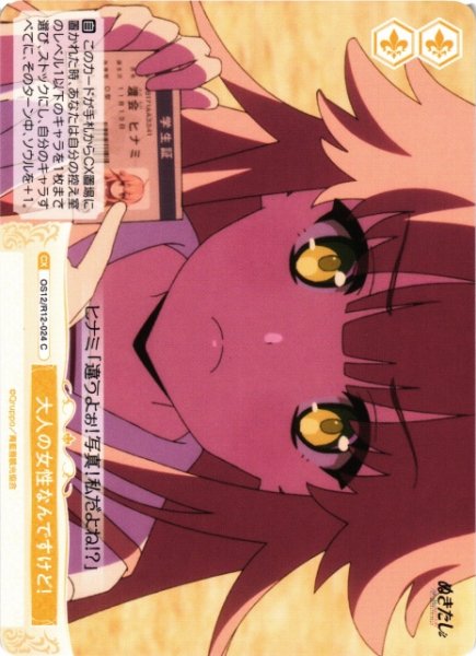 画像1: 【WSR】大人の女性なんですけど！【C】OS12/R12-024 (1)