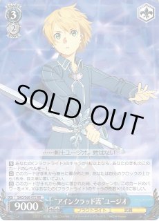 SAO/S80】ソードアート・オンライン アリシゼーション Vol.2