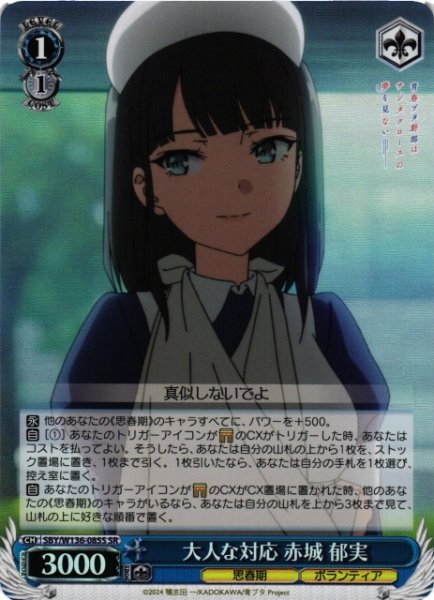 画像1: 【WS】大人な対応 赤城 郁実【SR】SBY/W136-085S (1)
