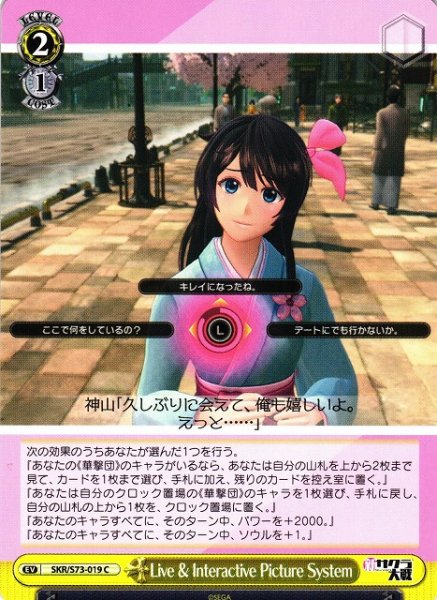 画像1: 【WS】Live & Interactive Picture System【C】SKR/S73-019 (1)