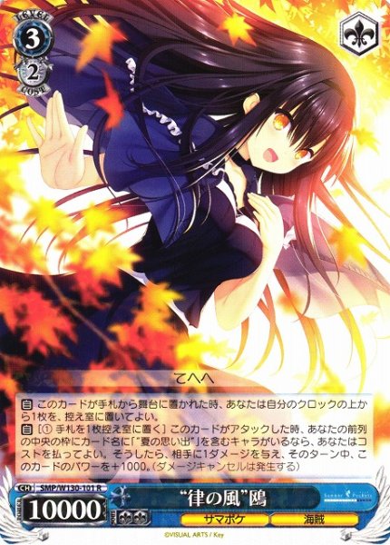 画像1: 【WS】“律の風”鴎【R】SMP/W130-101 (1)