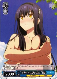 WS】“海賊船と少女”鴎【SR】SMP/W137-015Sヴァイスシュヴァルツ