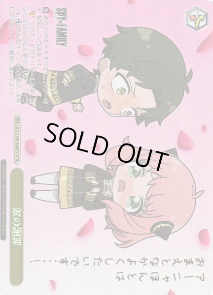 画像1: 【WS】涙の謝罪(箔押し)【SPYR】SPY/S106-026SPY (1)