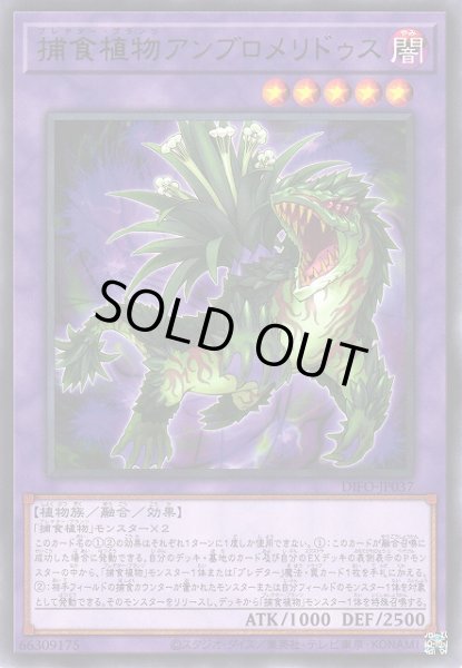 画像1: 【遊戯】捕食植物アンブロメリドゥス【レア/融合】DIFO-JP037 (1)