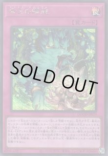遊戯】遊戯王OCG デュエルモンスターズ 「DOOM OF DIMENSIONS