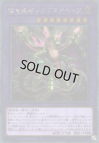 画像1: 【遊戯】捕食植物ドラゴスタペリア【エクストラシークレット/融合】RC04-JP028 (1)