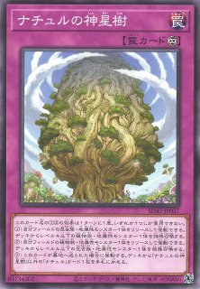 遊戯】ナチュルの春風【ノーマル/魔法】DABL-JP064遊戯王OCG